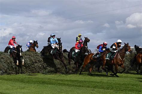 grand national live results